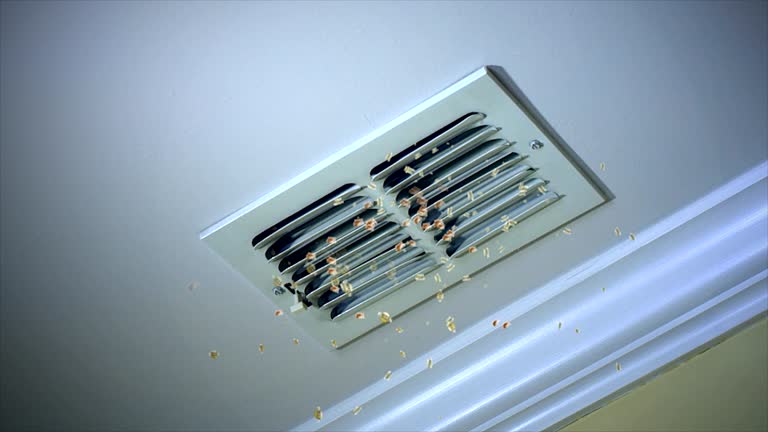 Best Air Duct Cleaning Near Me  in Richville, OH